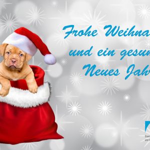 frohe-weihnachten